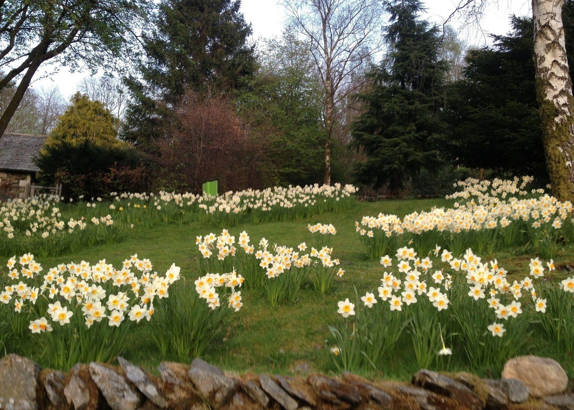 May Cottage B&B Bowness-on-Windermere Exteriér fotografie